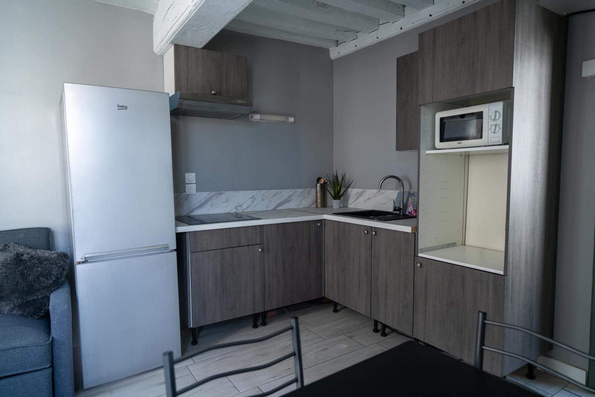 Celeste Appart - Grand Appartement Centre Ville - Refait A Neuf 올리언스 외부 사진