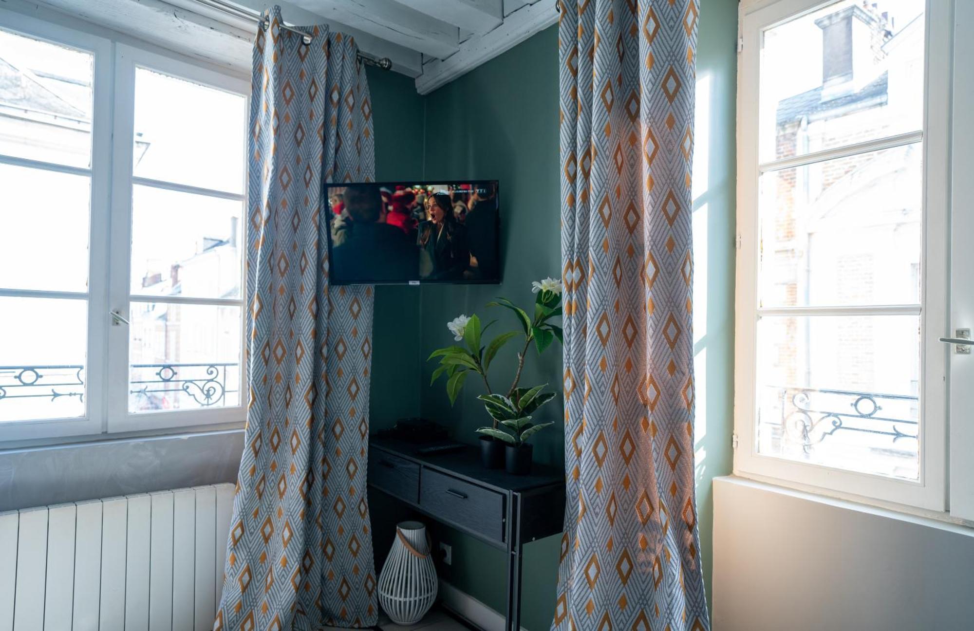 Celeste Appart - Grand Appartement Centre Ville - Refait A Neuf 올리언스 외부 사진
